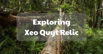 Exploring Xeo Quyt Relic, the hidden gem of Dong Thap - Handspan Travel Indochina